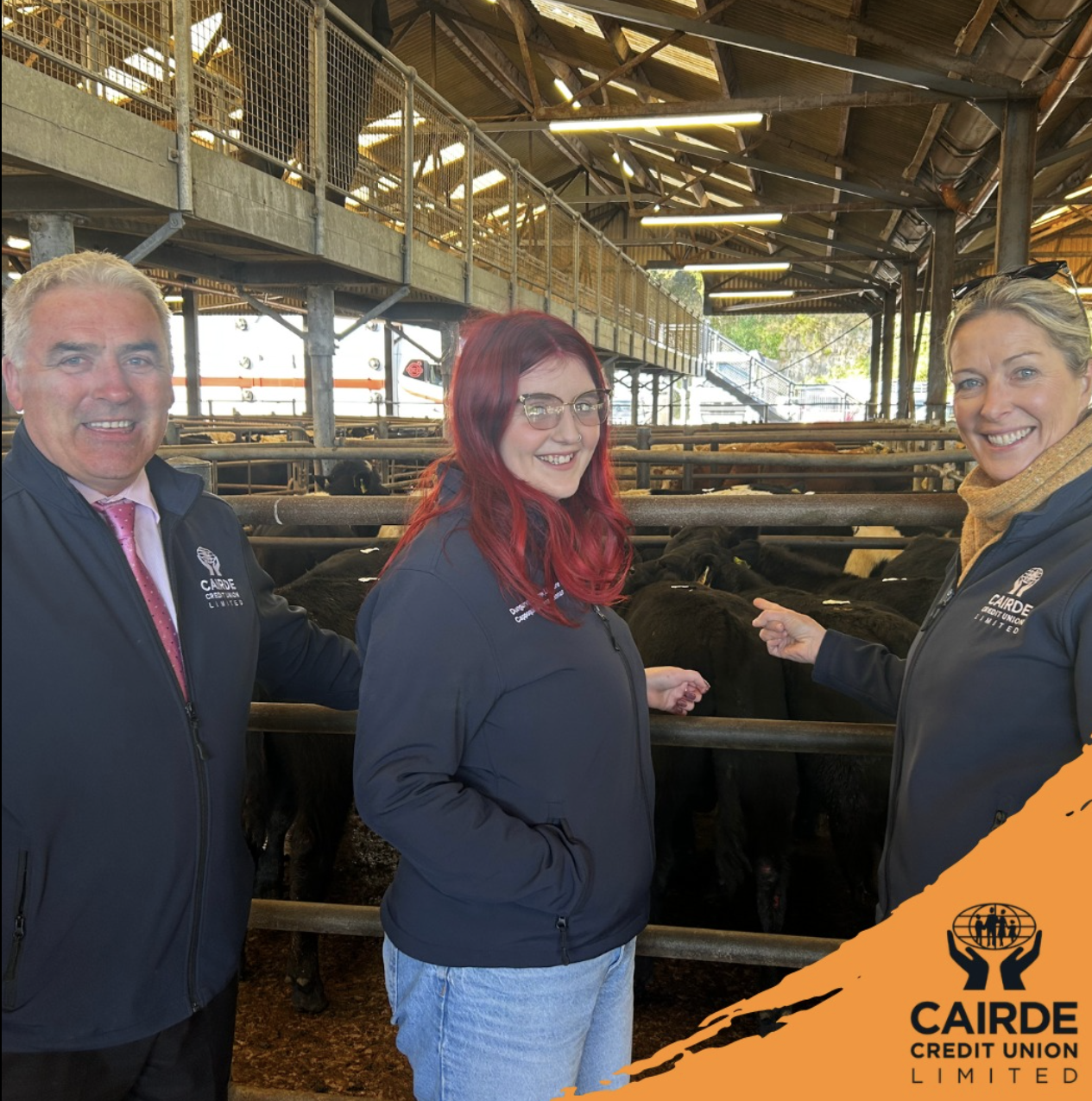 Dungarvan Mart Sponsorship