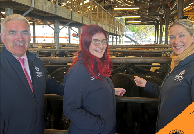 Dungarvan Mart Sponsorship